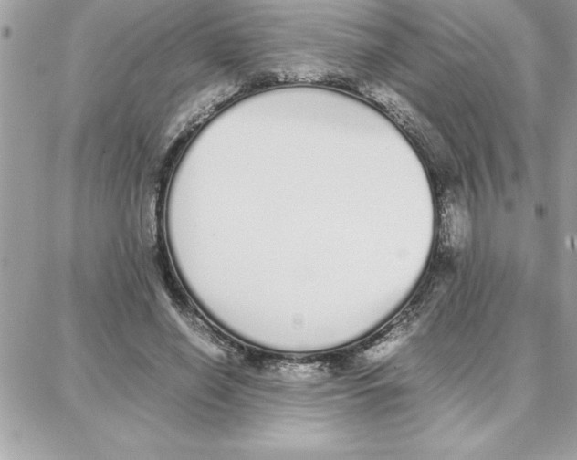 X0000087750638200706041102