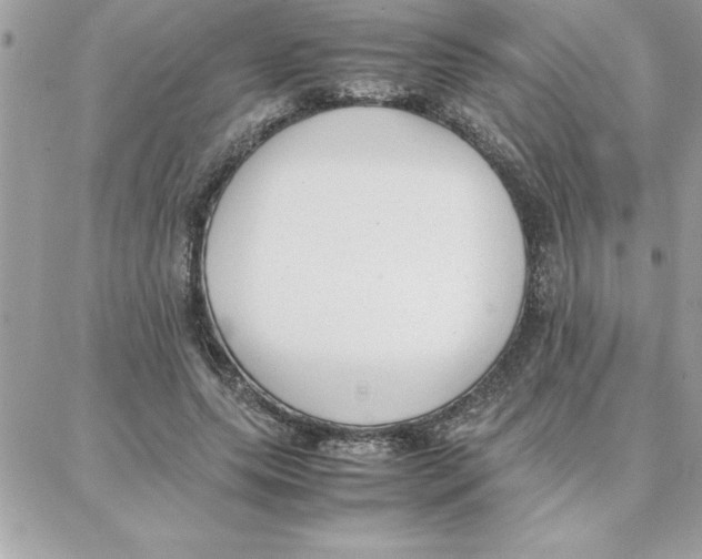 X0000087750639200706041102