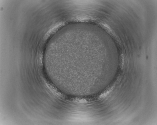 X0000087750640200706041102