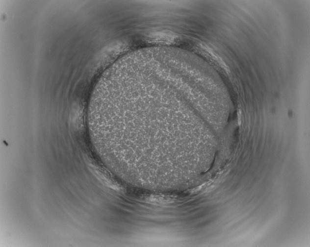 X0000087750641200706041102