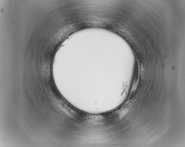 X0000087750642200706041102