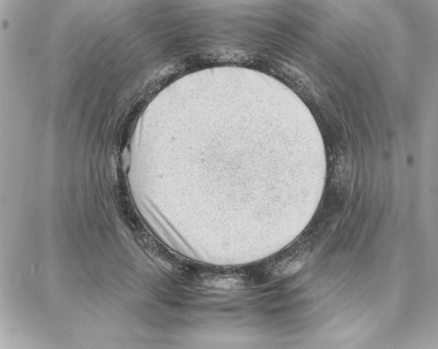 X0000087750643200706041102