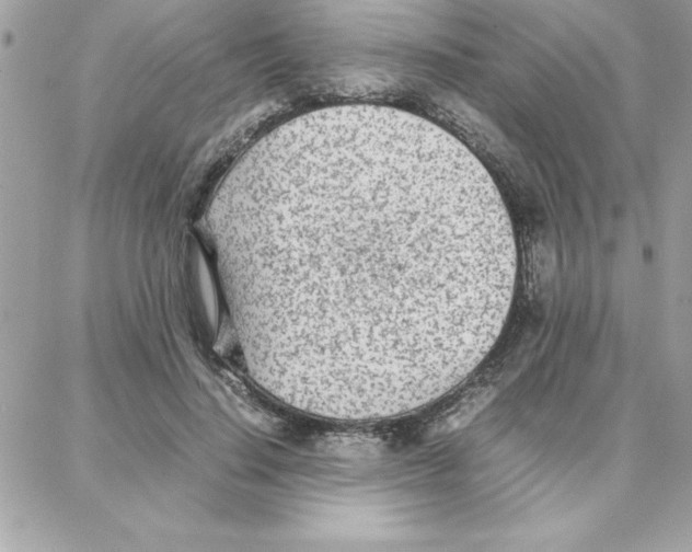 X0000087750644200706041102