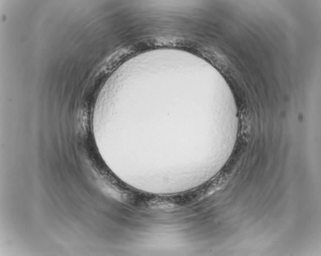 X0000087750648200706041103