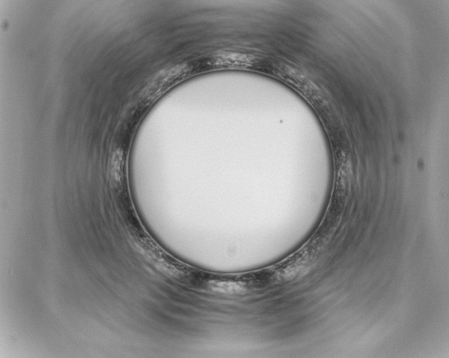 X0000087750649200706041103