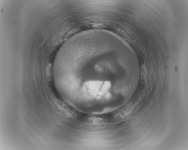 X0000087750650200706041103