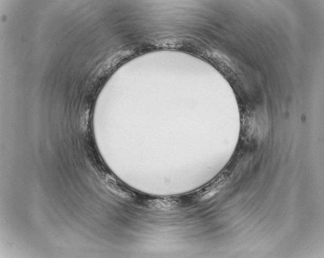 X0000087750652200706041103