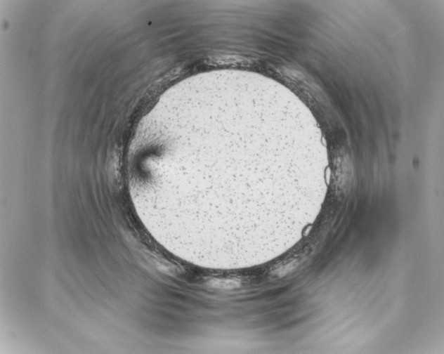 X0000087750653200706041103