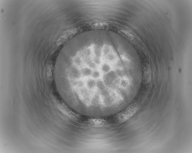 X0000087750654200706041103