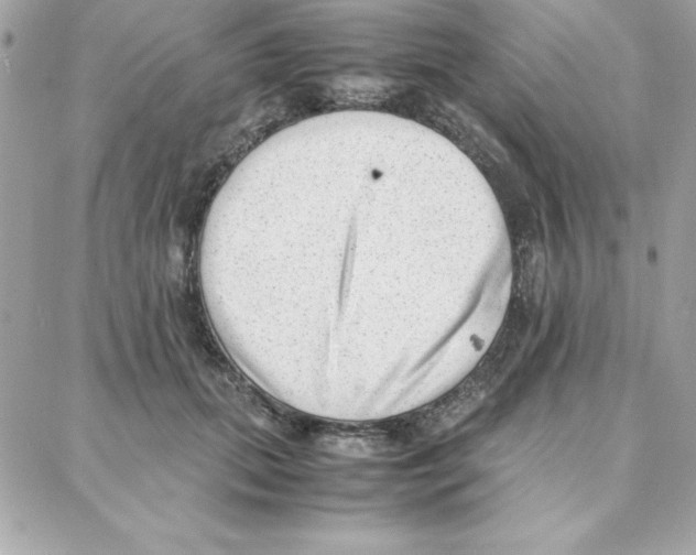 X0000087750655200706041103