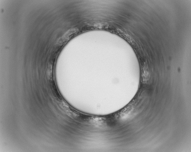 X0000087750656200706041103