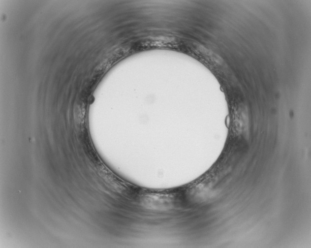 X0000087750657200706041103