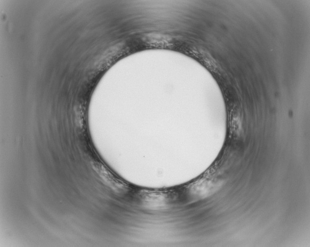 X0000087750658200706041103