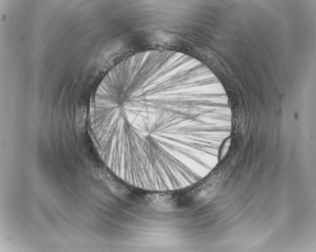 X0000087750660200706041103