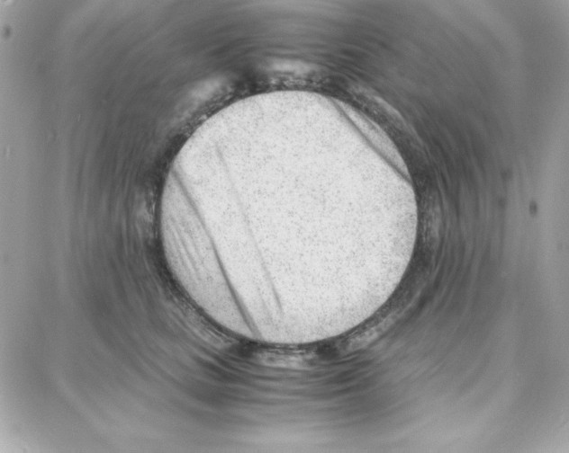 X0000087750661200706041103