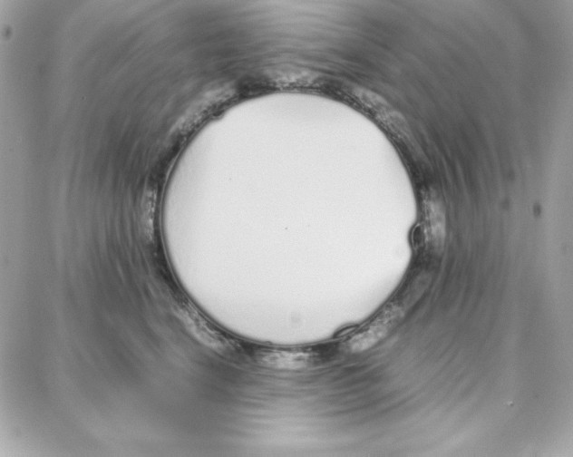 X0000087750664200706041103