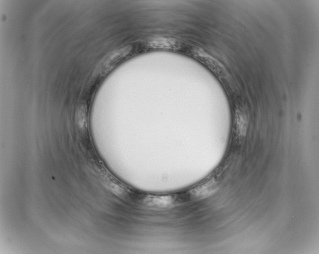 X0000087750665200706041103