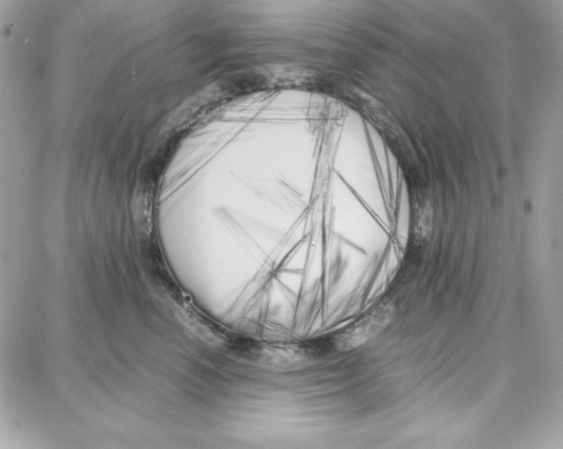 X0000087750666200706041103