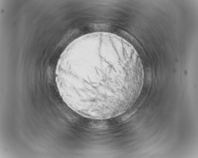 X0000087750667200706041103