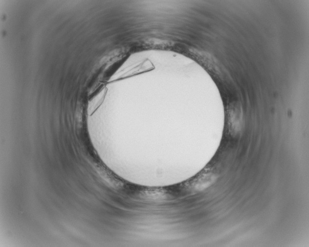 X0000087750668200706041103