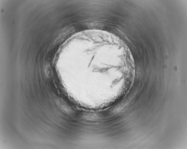 X0000087750671200706041103