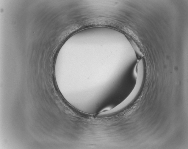 X0000087750673200706041102