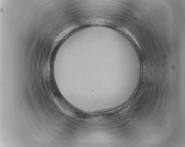 X0000087750674200706041102