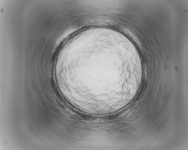 X0000087750675200706041102