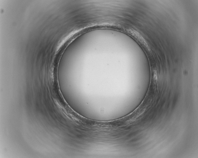 X0000087750676200706041102