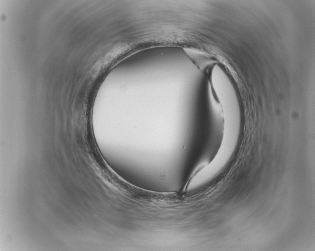 X0000087750677200706041102