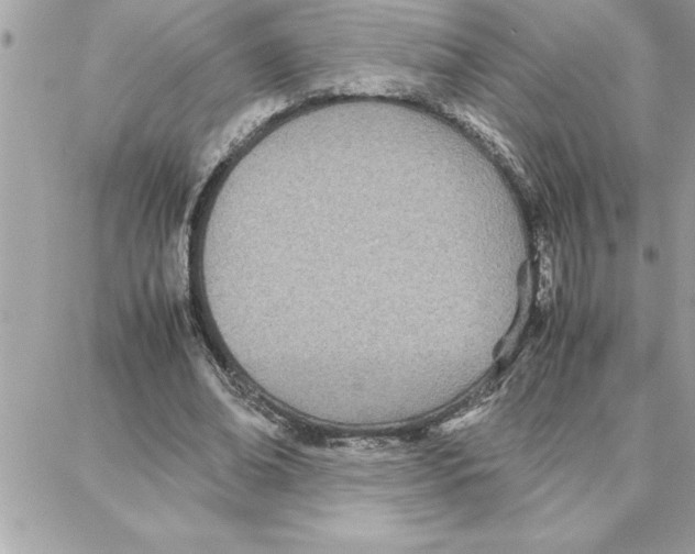 X0000087750678200706041102