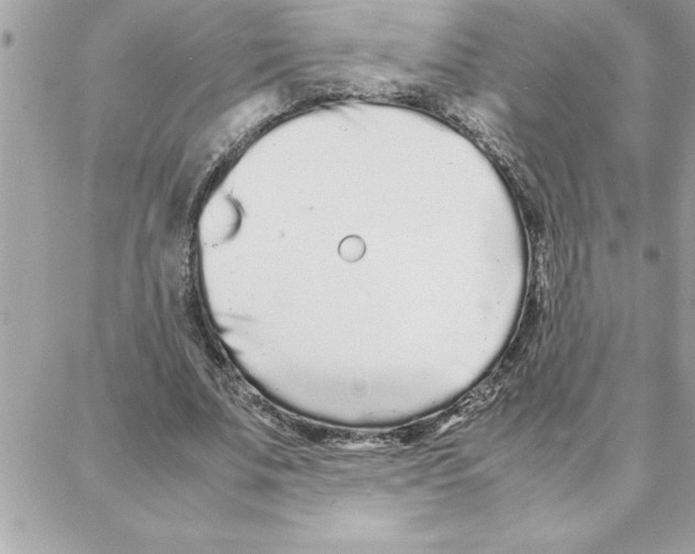 X0000087750679200706041102