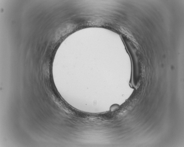 X0000087750681200706041102