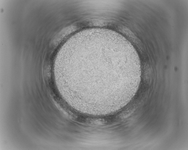 X0000087750683200706041102