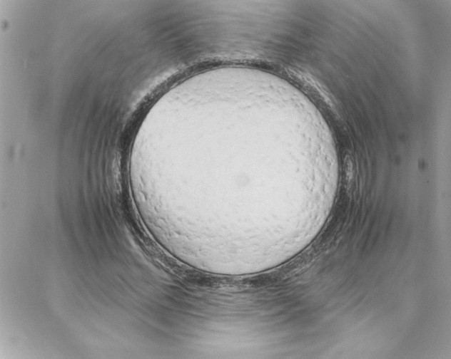 X0000087750684200706041102