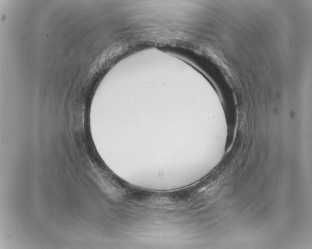 X0000087750685200706041102