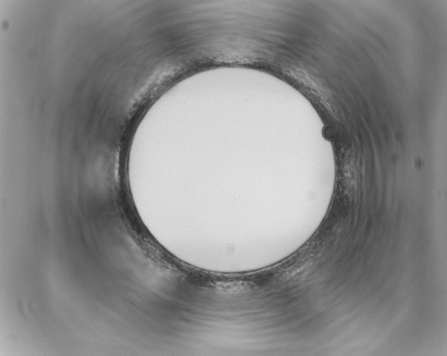 X0000087750686200706041102