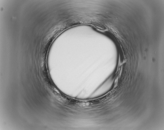 X0000087750687200706041102