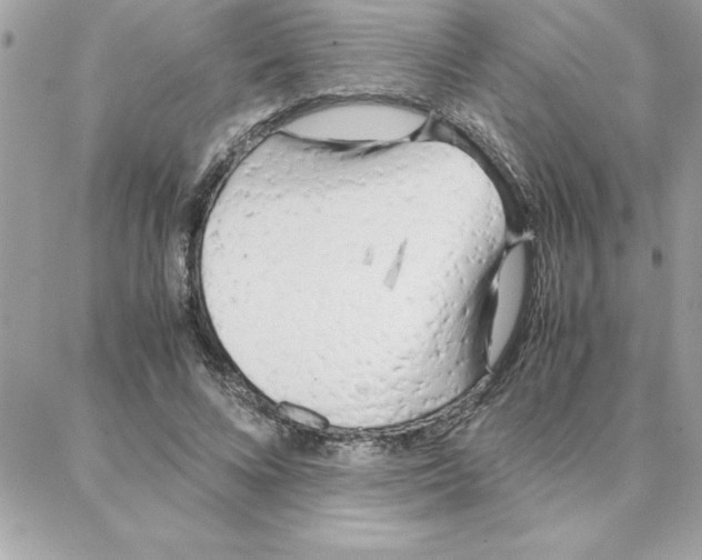 X0000087750688200706041102