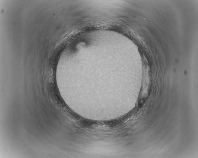 X0000087750689200706041102