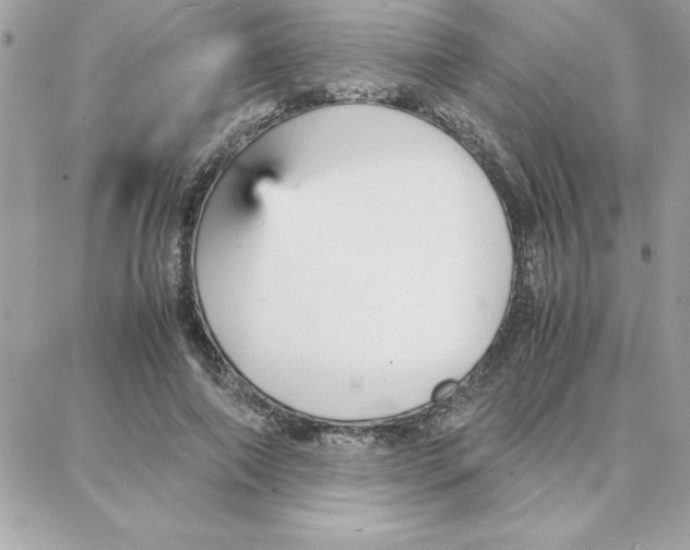 X0000087750690200706041102