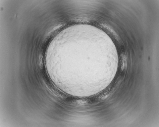 X0000087750692200706041102