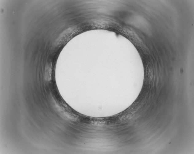 X0000087750694200706041102