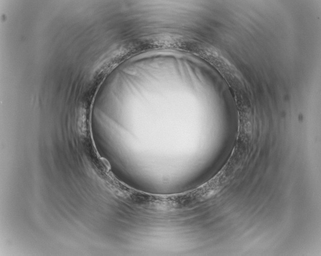 X0000087750696200706041102