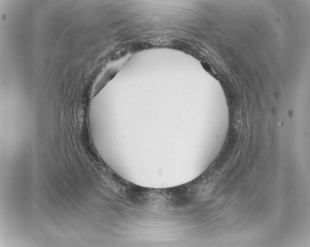 X0000087750697200706041102