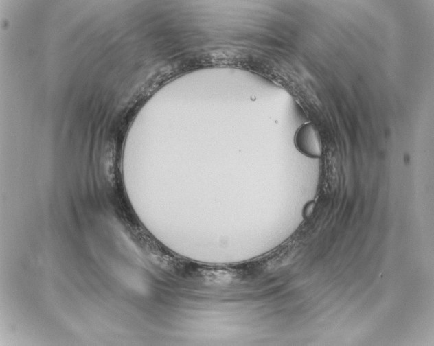 X0000087750698200706041102