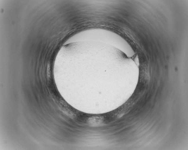 X0000087750700200706041102