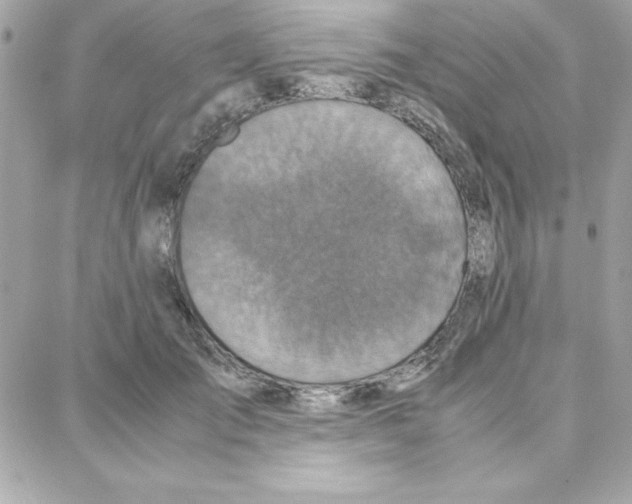 X0000087750701200706041102