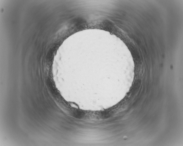 X0000087750703200706041102