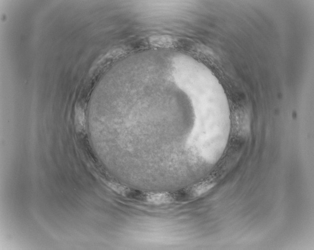 X0000087750705200706041102